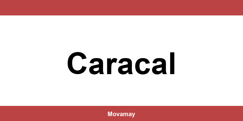 Informații de contact pentru depozitul Sameday în Caracal